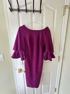 Calvin Klein Purple Ruffle Sleeve Sheath Dress